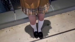 《熊出没之伴我熊芯 高清版》最近免费在线观看