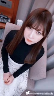 阿里DNS小狗骑脸视角